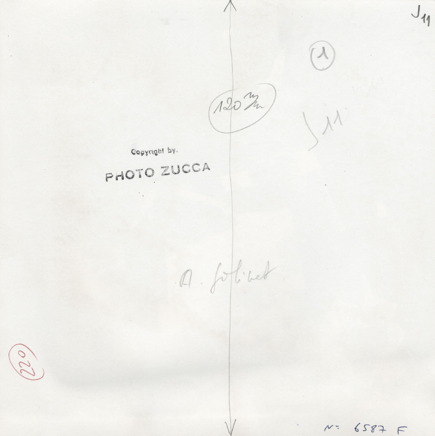 occupation-andre-zucca-01