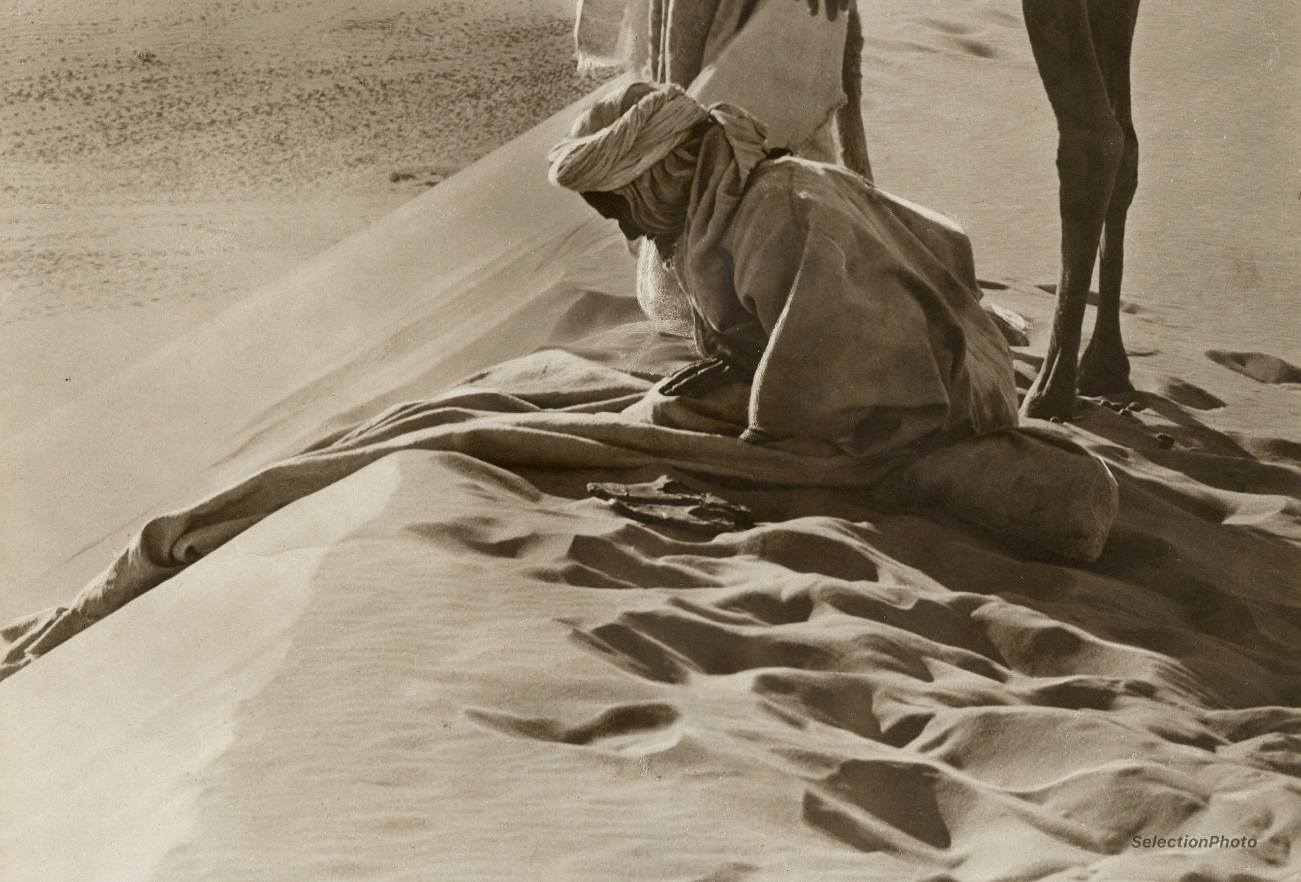 Lehnert et Landrock - BÉDOUINS - GRAND Tirage Argentique Original 1910 - 28x58cm