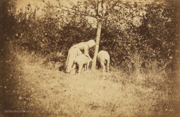 Young Shepherdess - Constant Alexandre FAMIN 1874 - Vintage Albumen Print 6x4in