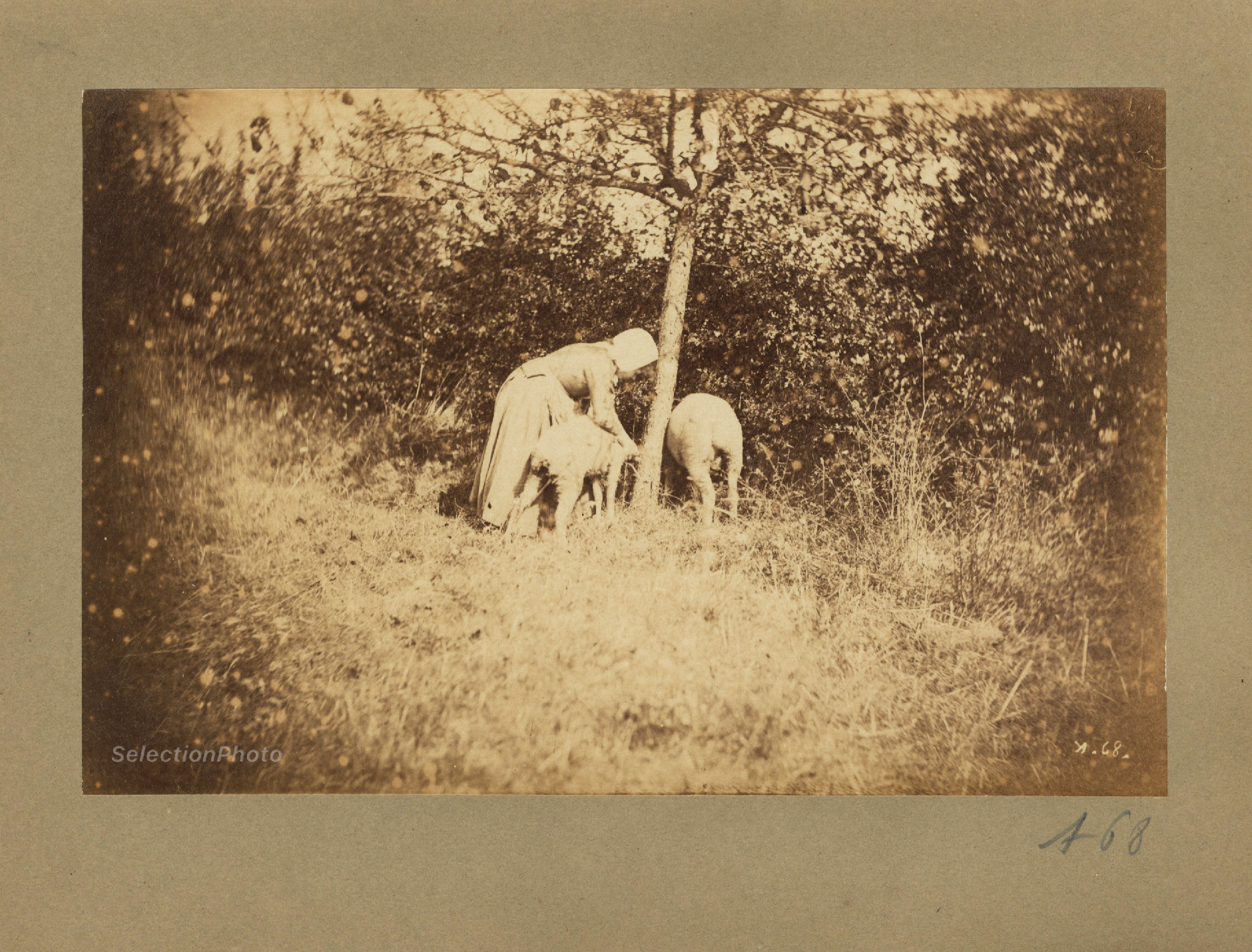 Jeune Bergère - Constant Alexandre FAMIN 1874 - Tirage Albuminé Original 11x17cm