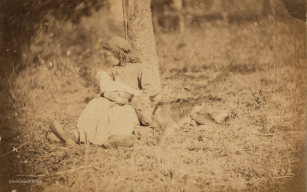 Constant Alexandre FAMIN - Young Shepherdess 1874 - Vintage Albumen Print 6x4in