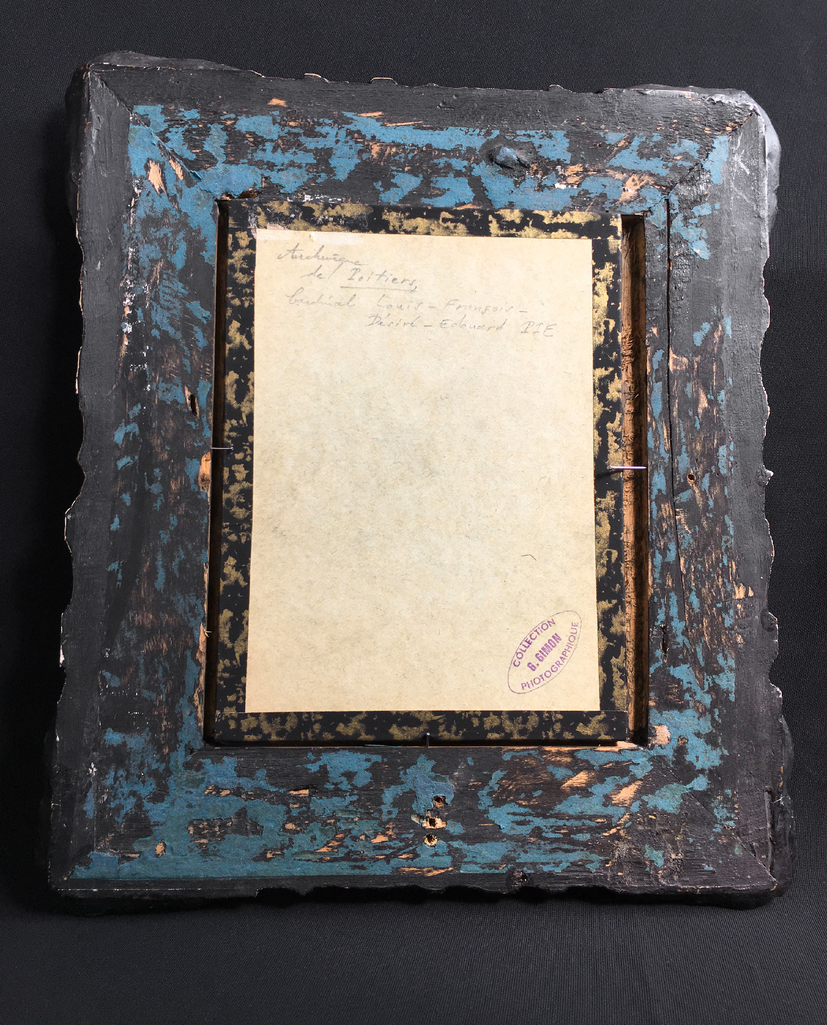 cardinal-edouard-pie-03