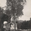 Guglielmo PLUSCHÖW Villa Adriana TIVOLI - Tirage Albuminé Original 1890 16x12cm