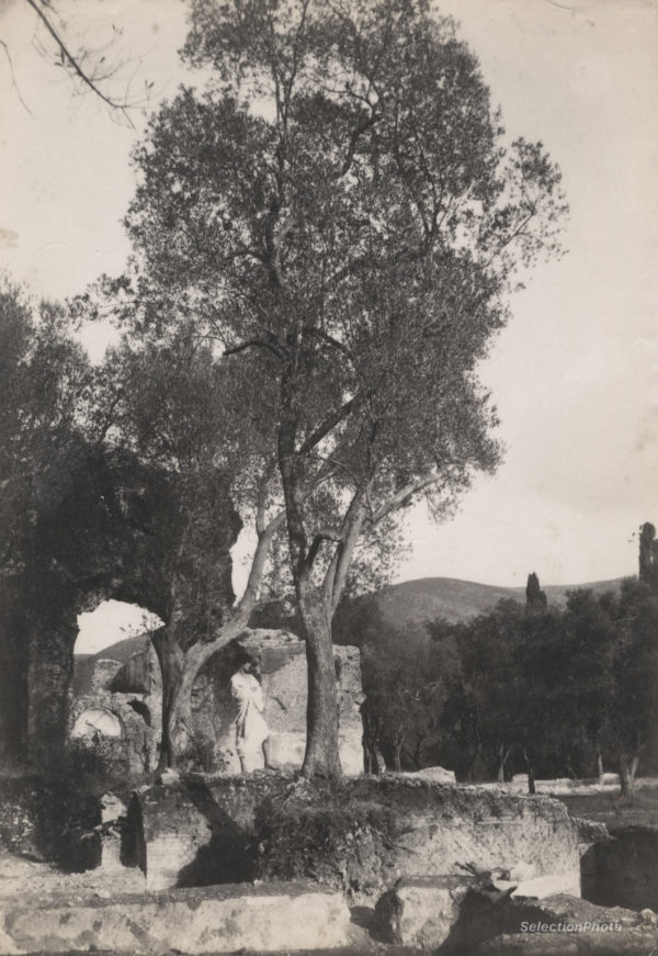 Guglielmo PLUSCHÖW Villa Adriana TIVOLI - Tirage Albuminé Original 1890 16x12cm