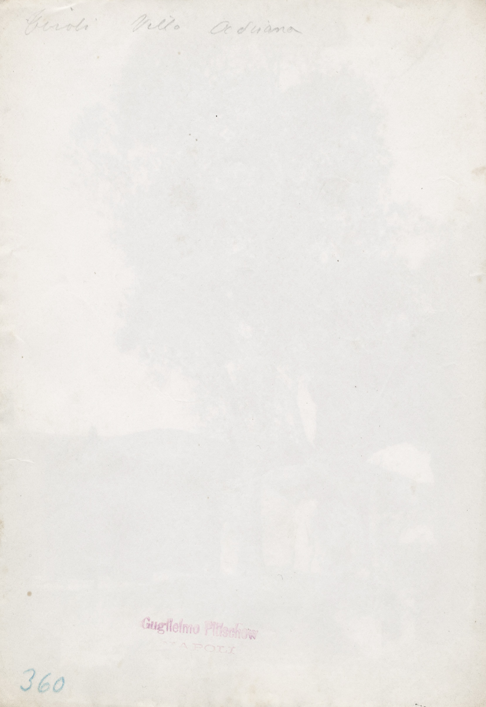 guglielmo-pluschow-02