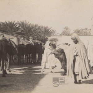 Market BISKRA Algeria circa 1880 - Vintage Albumen Print 4.3x3.1in