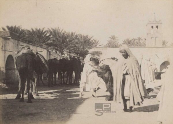 Market BISKRA Algeria circa 1880 - Vintage Albumen Print 4.3x3.1in