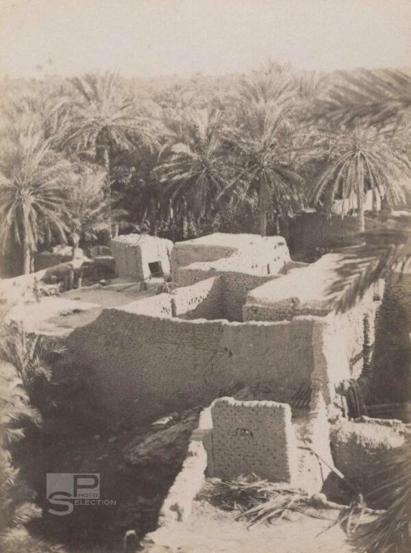 View of SIDI OKBA c.1880 Algeria - Vintage Albumen Print - 4.3x3.1in