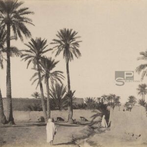 Algeria SIDI OKBA circa 1880 - Vintage Albumen Print - 4.3x3.1in