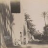 Une rue de SIDI OKBA Algérie c.1880 - Tirage Albuminé Original d'Époque - 11x8cm