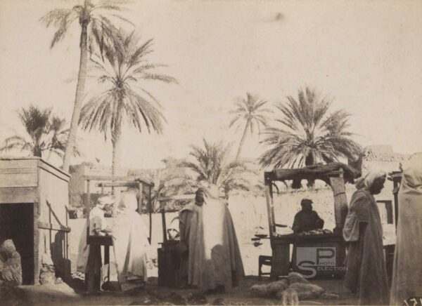 Market place of SIDI OKBA c.1880 Algeria - Vintage Albumen Print - 4.3x3.1in