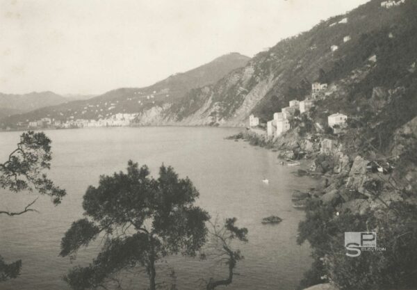 Vue de CAMOGLI - Rive du Levant - Italie 1910 - Tirage Original 17x15cm