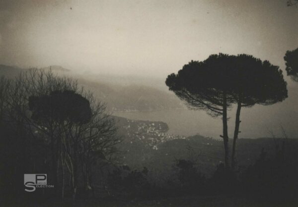 View of PORTOFINO - Italy 1910 - Shore of the Levant - Vintage Print 6.7x4.7in
