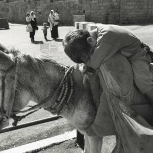 David TURNLEY - Jérusalem ISRAEL - L'enfant et l'âne - Tirage Original 19x28cm