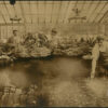 Jardin des Plantes - La Serre Tropicale Paris 1937 Presse - 4 Tirages Originaux