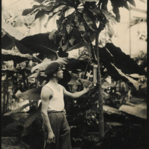 Jardin des Plantes - La Serre Tropicale Paris 1937 Presse - 4 Tirages Originaux