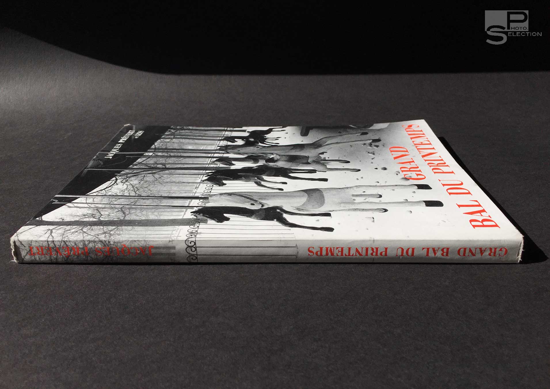 le-grand-bal-du-printemps-paris-izis-04 Grand Bal du Printemps - 62 Photographies de PARIS vers 1950 par Izis Bidermanas